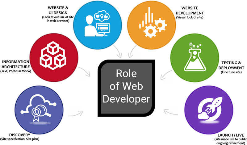 Role of Web Developer