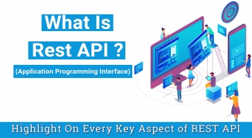 WHAT IS REST API