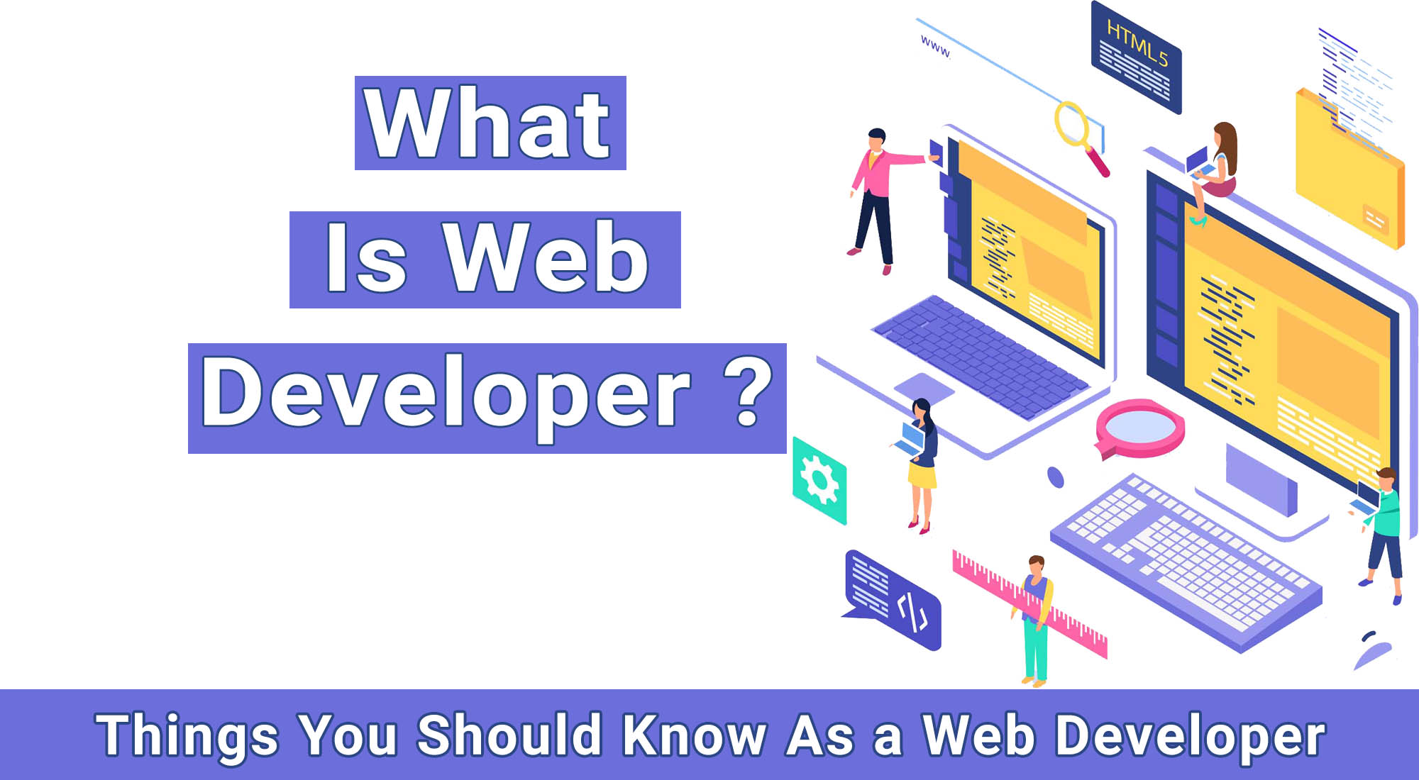 What is Web Developer